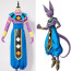 God of Destruction Beerus Dragon Ball Z Costume