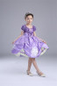Sofia the First Deluxe Costume Dress For Girls