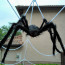Spider Web Halloween Decoration Set