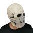 Skull With Mask Cosplay Mask