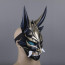 Genshin Impact Xiao Cosplay Mask