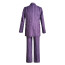 Tokyo Revengers Sanzu Haruchiyo Costume - Purple Stripe Suit Sanzu Haruchiyo Cosplay