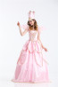 Women's Pink Fairy Costume