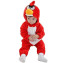 Angry Bids Red Bird Costume