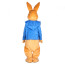 Giant Peter Rabbit Mascot Costume