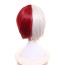 Shoto Todoroki Uniform From My Hero Academia Cosplay Wig