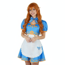 The Legend of Zelda Breath of the Wild Princess Zelda Costume - Blue Dress Princess Zelda Cosplay