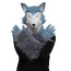 Legoshi Wolf Beastars Complete Cosplay Costume