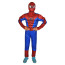 Spider Man Across The Spider Verse The Amazing Spider Man Costume - Muscle The Amazing Spider Man Cosplay Costume With Mask