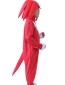 Boy's Knuckles Sonic Costume