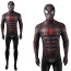 Spider-Man 2 Spider-Man Black Red Webbed Suit Costume - Bodysuit Spider-Man Black Red Webbed Suit Cosplay