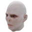 Harry Potter Lord Voldemort Cosplay Mask