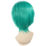 One Piece Roronoa Zoro Wig - Reunion After Two Years Roronoa Zoro Cosplay Costume Wig Prop