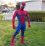 Spiderman Complete Cosplay Costume For Adults