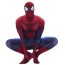 Spiderman Complete Cosplay Costume For Adults