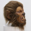 Werewolf Mask - Werewolf Cosplay Costume Mask Prop