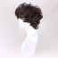 Lord of the Rings Frodo Baggins Wig - Short Wavy Curly Wig Frodo Baggins Cosplay Costume