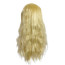 Hocus Pocus Sarah Sanderson Wig - Sarah Sanderson Cosplay Costume Wig Prop
