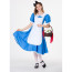 Women's Alice In Wonderland Costume