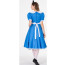 Women's Alice In Wonderland Costume
