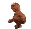 Kids Bear Costume