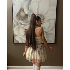 Ariana Grande Wig - Ponytail Straight Wig Ariana Grande Cosplay Costume