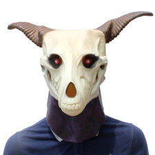 The Ancient Magus Bride Elias Ainsworth Mask Cosplay Costume