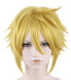 Zelda Link Wig Cosplay