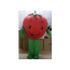 Giant Strawberry Mascot Costume