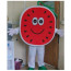 Giant Watermelon Mascot Costume