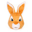 Giant Peter Rabbit Mascot Costume