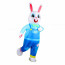 Easter Bunny Inflatable Costume - Easter Bunny Cosplay