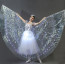 LED Butterfly Ballet Ballerina Costume