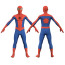 The Spectacular Animated Series Spider-Man Costume - Bodysuit Mask Spider Man Cosplay
