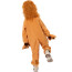 Boys Wizard of Oz Cowardly Lion Costume - Jumpsuit Hat Cowardly Lion Cosplay