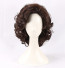 Timothée Chalamet Wig - Curly Messy Short Wig Timothée Chalamet Cosplay Costume