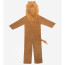 Kids Lion Costume