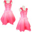Barbie Fairytopia Elina Costume - Pink Dress Elina Cosplay