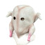 Turkey Mask Prop - Whole Turkey Cosplay Costume Mask