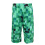 Minecraft Creeper Top and Bottom