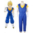 Vegito From Dragon Ball Super Cosplay Costume
