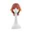 The Royal Tutor Heine Wittgenstein Wig - Heine Wittgenstein Cosplay Costume Wig Prop