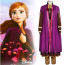 Anna Frozen 2 Dress