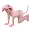 Piggy Animals Kids Cosplay Costume