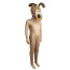 Wallace and Gromit - Gromit Costume - Full Bodysuit Mask Set Gromit Cosplay