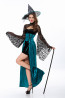 Halloween Masquerade Ball Lace Shawl Witch Long Dress With Hat Costume